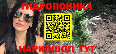 шишки Берёзовский