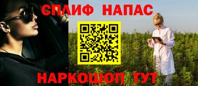 apvp Бийск