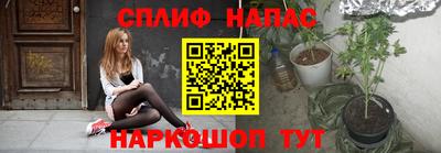 шишки Берёзовский