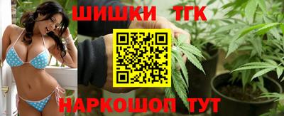 apvp Бийск