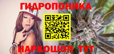 apvp Бийск
